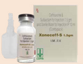 XONECEFF-S-1.5g