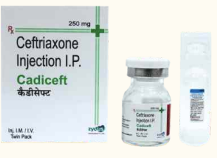 CADICEFT INJ