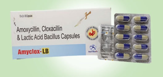 AMYCLOX-LB CAP